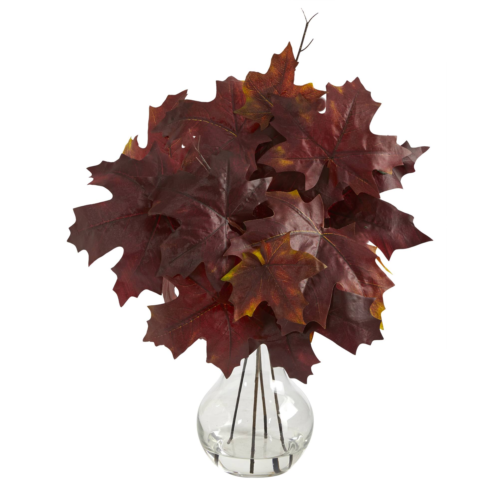 10" Autumn Maple Leaf Plant in Glass Planter